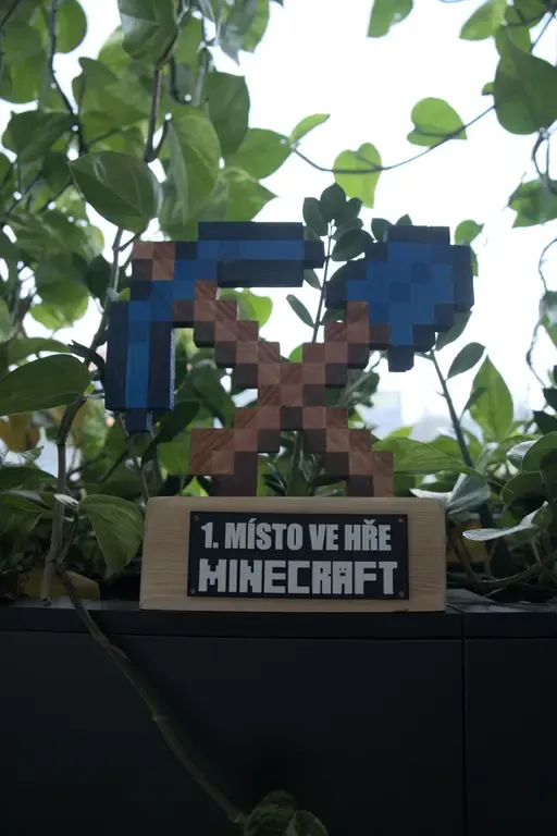 Cena Minecraftu v ročníku 2024